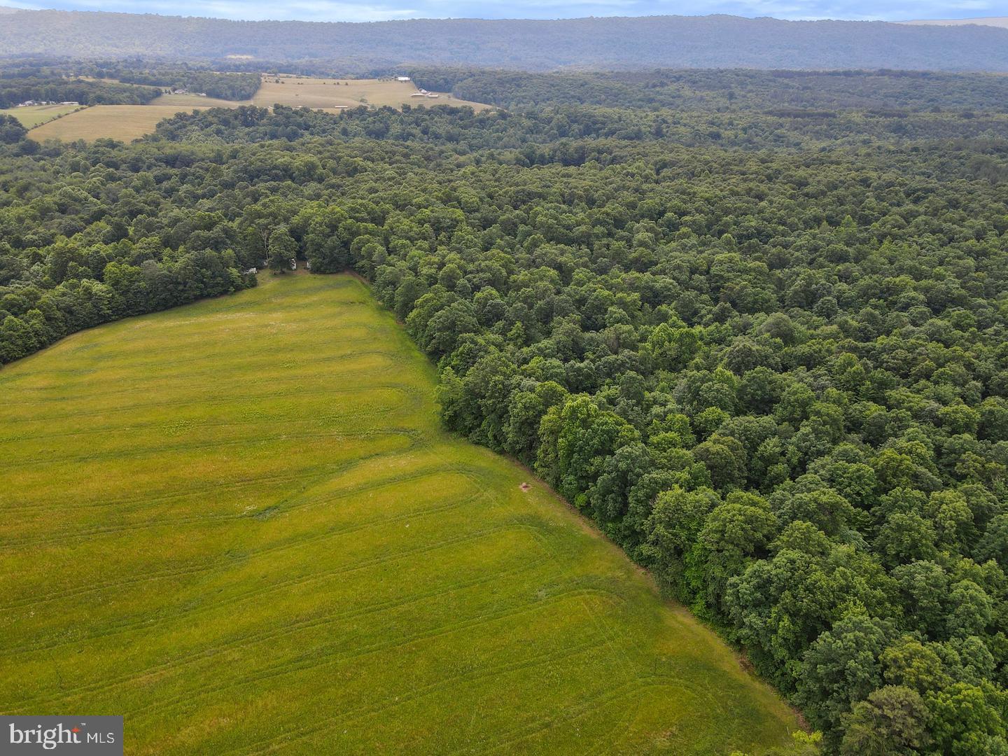 75.31+/- Acres Off Of Porters Ln Property Photo 10