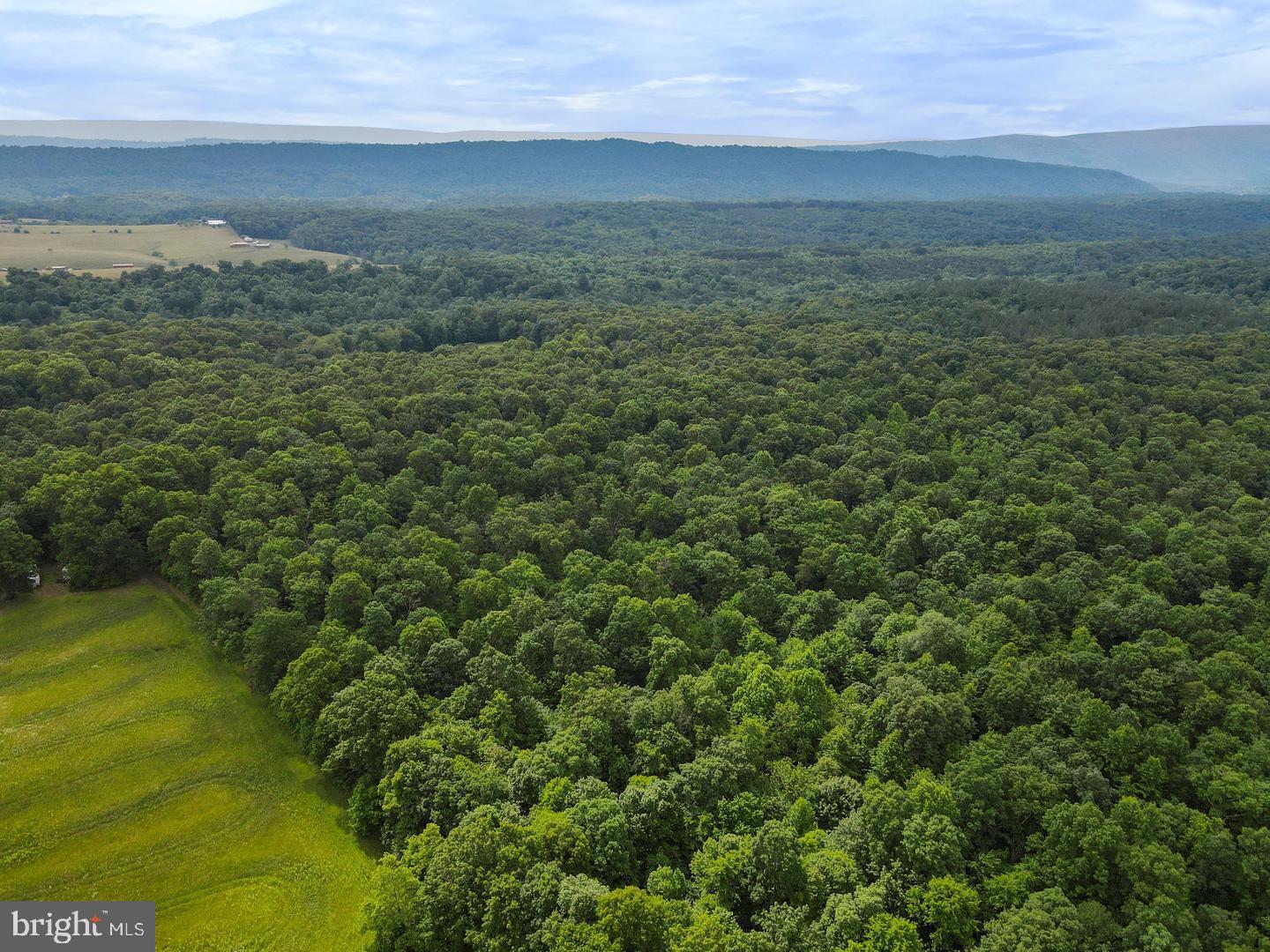 75.31+/- Acres Off Of Porters Ln Property Photo 11