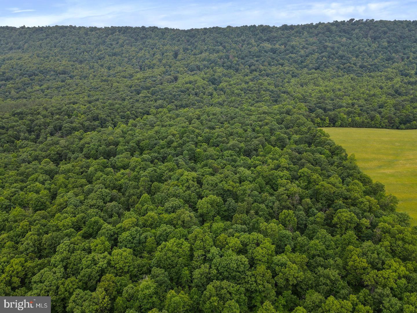 75.31+/- Acres Off Of Porters Ln Property Photo 12