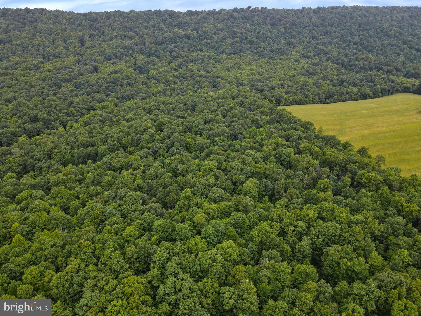 75.31+/- Acres Off Of Porters Ln Property Photo 13