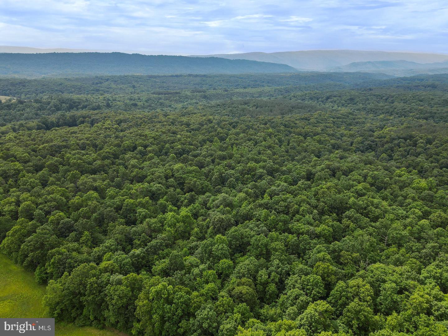 75.31+/- Acres Off Of Porters Ln Property Photo 14
