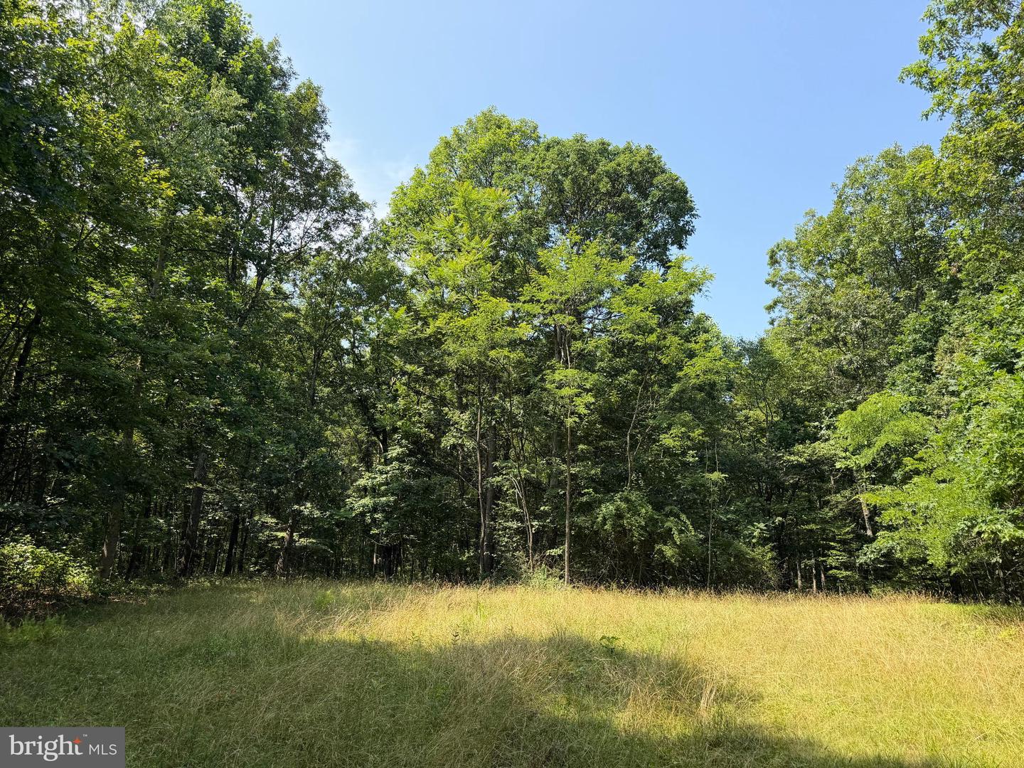 75.31+/- Acres Off Of Porters Ln Property Photo 55