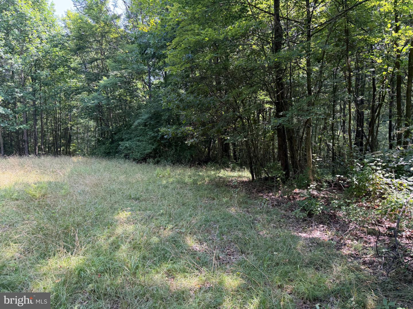 75.31+/- Acres Off Of Porters Ln Property Photo 57
