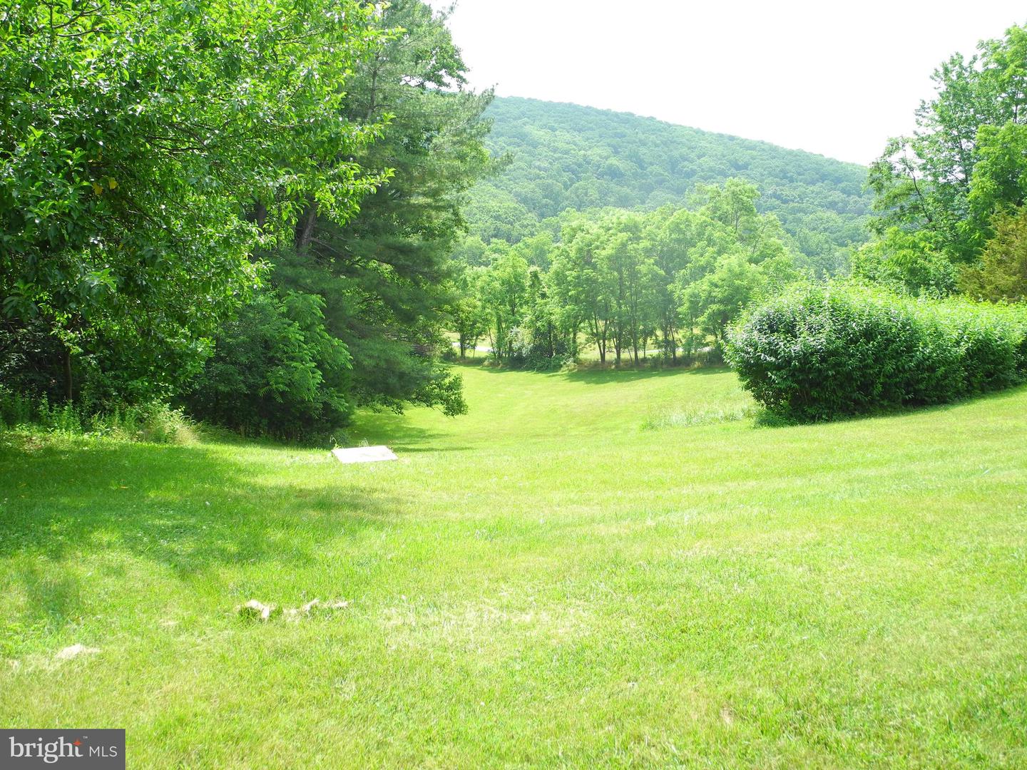 13204 Draper Rd Property Photo 22