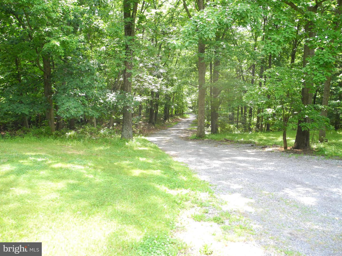 13204 Draper Rd Property Photo 24