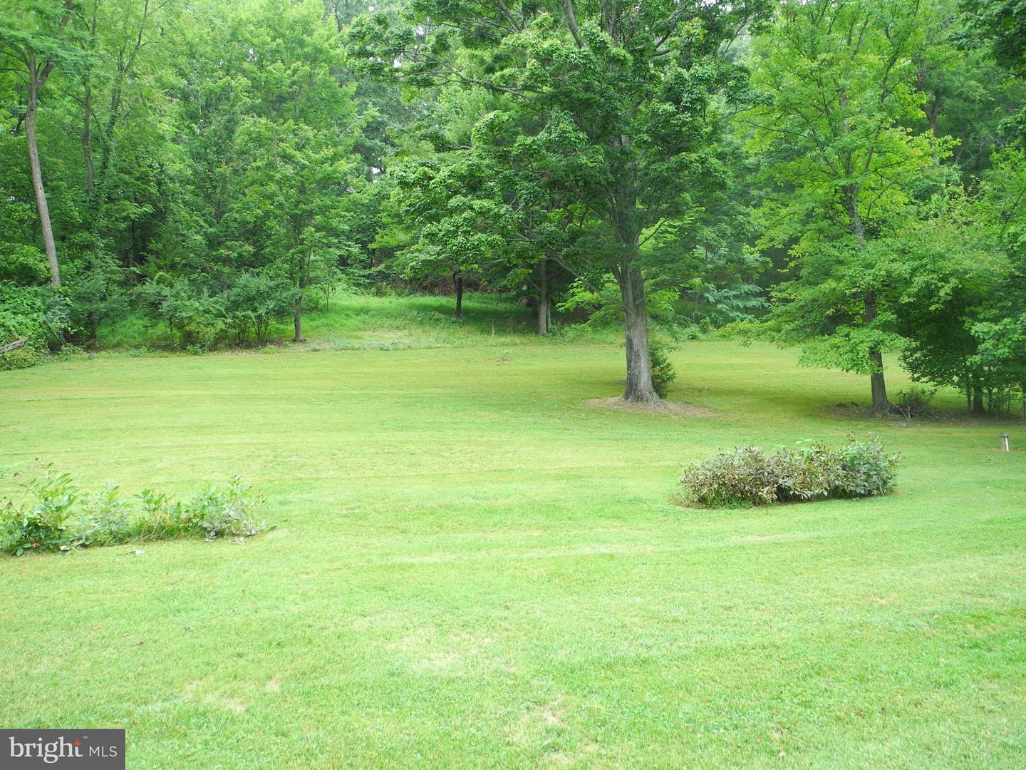 13204 Draper Rd Property Photo 37