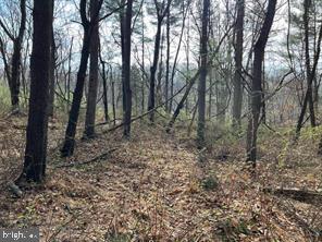 Lot 10 Shanktown Rd Property Photo 1