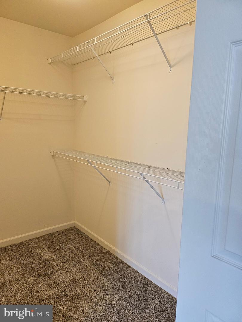 17682 Potter Bell Way Property Photo 37