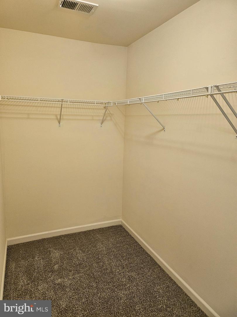 17682 Potter Bell Way Property Photo 38