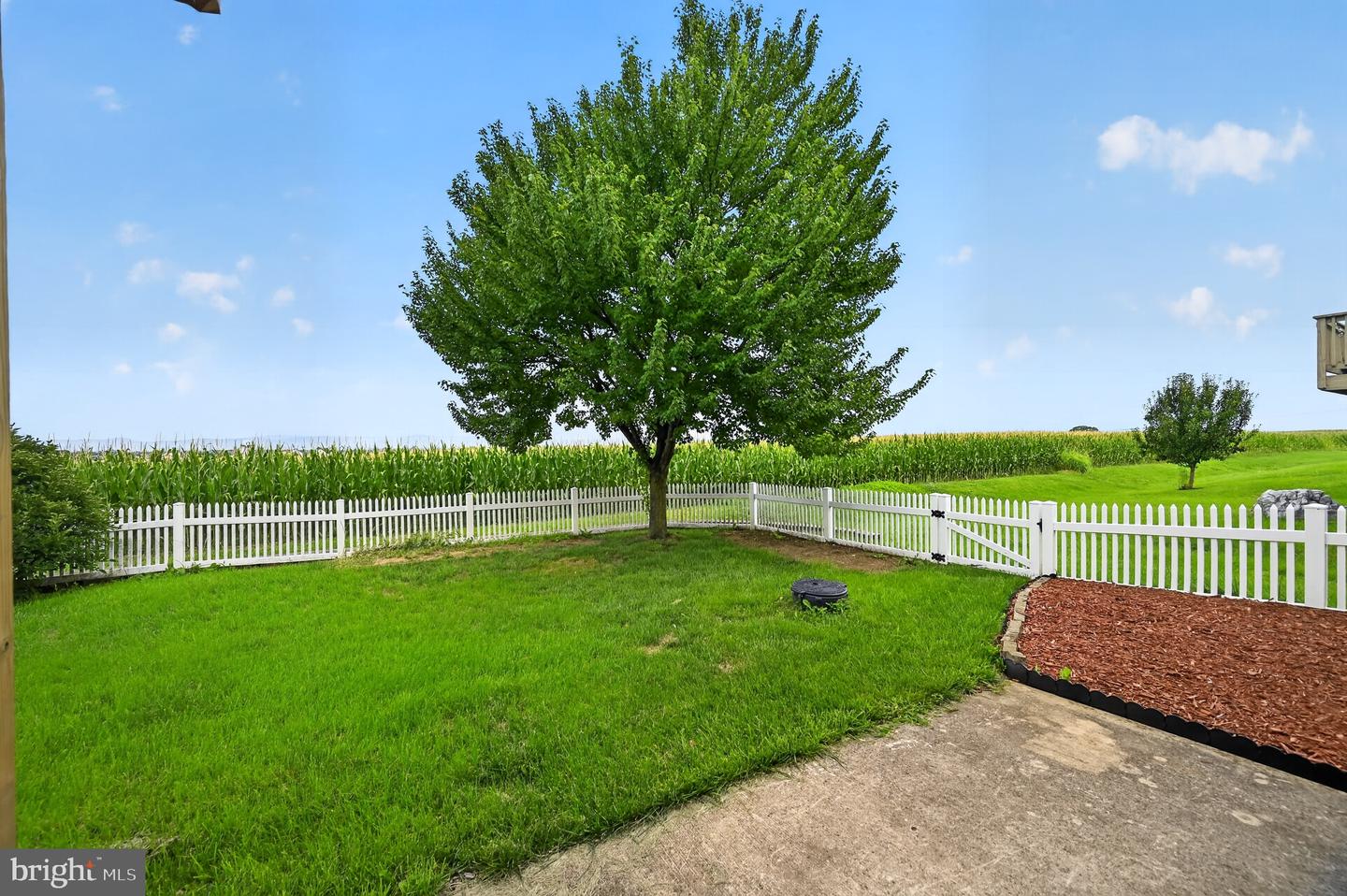 14258 Shelby Cir Property Photo 31