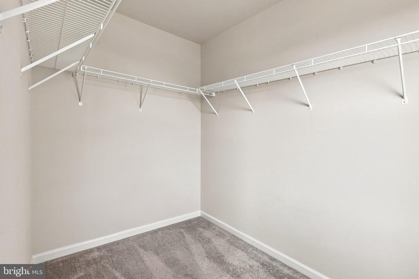 11 Charlotte St Property Photo 35