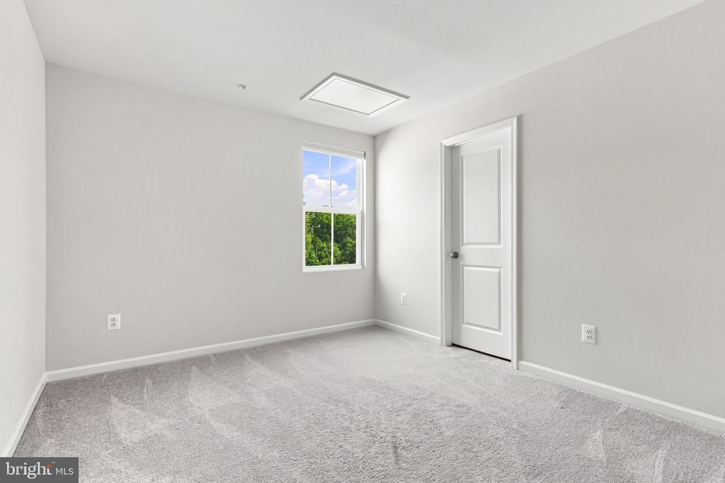 11 Charlotte St Property Photo 41