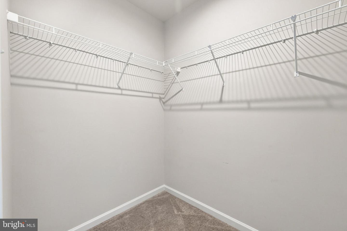 11 Charlotte St Property Photo 43