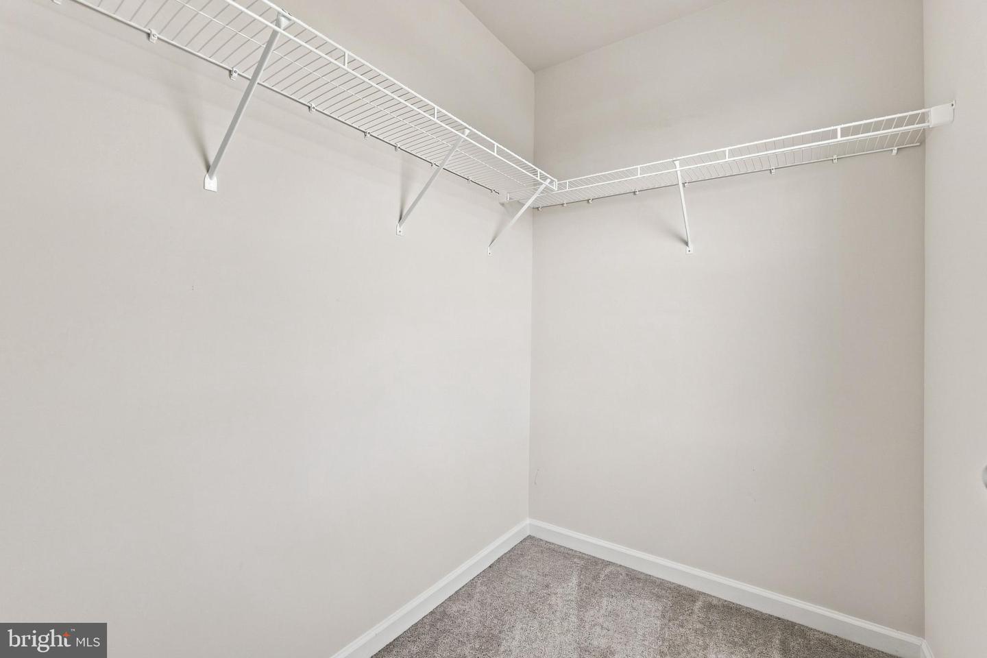 11 Charlotte St Property Photo 46