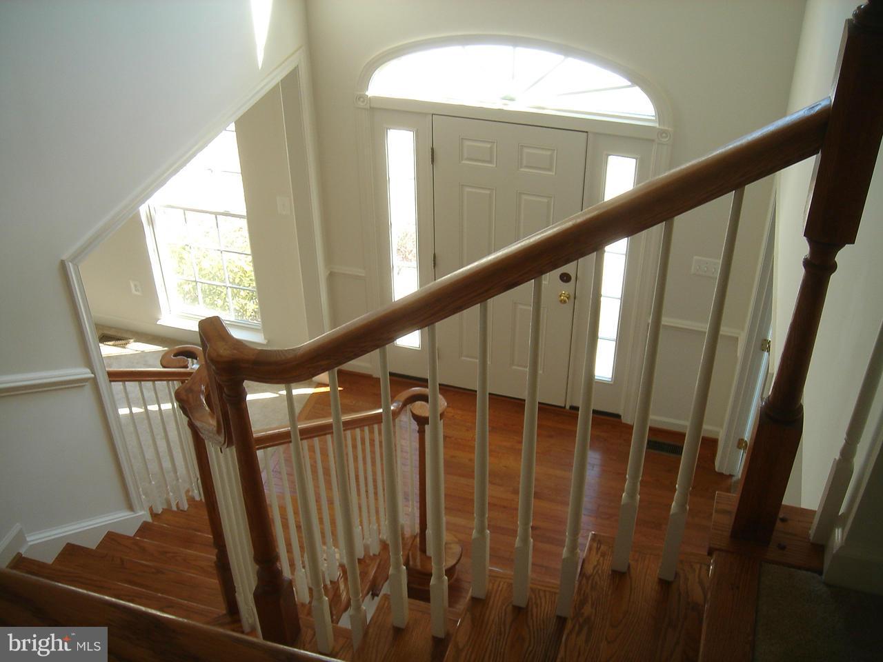 11225 Suffolk Dr Property Photo 2