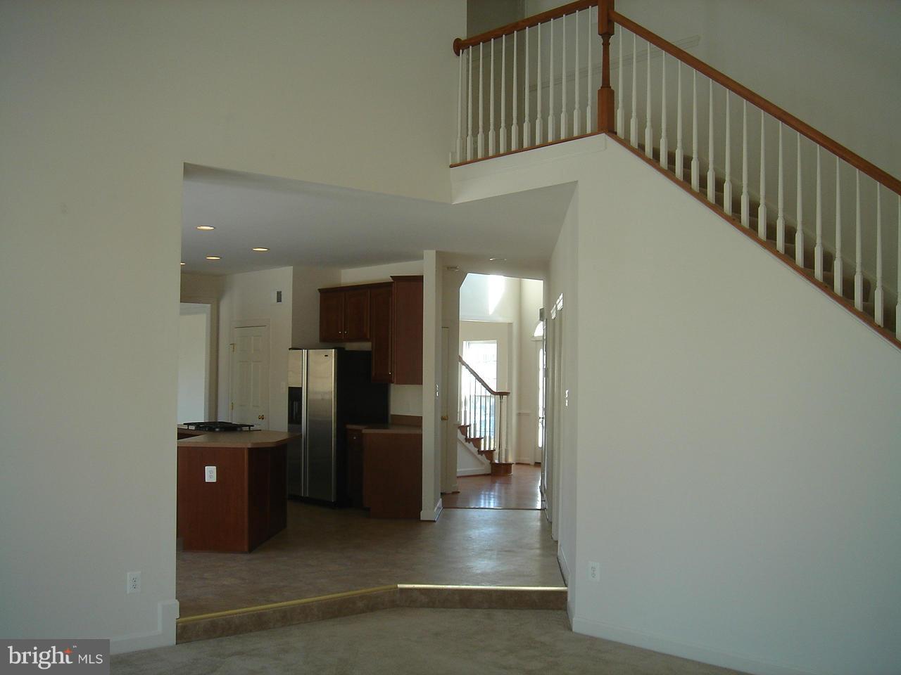 11225 Suffolk Dr Property Photo 7