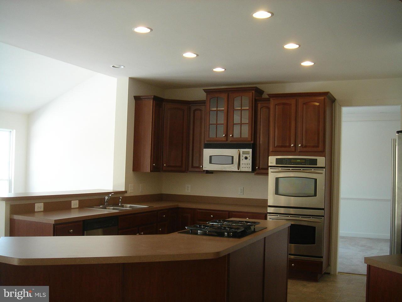 11225 Suffolk Dr Property Photo 11