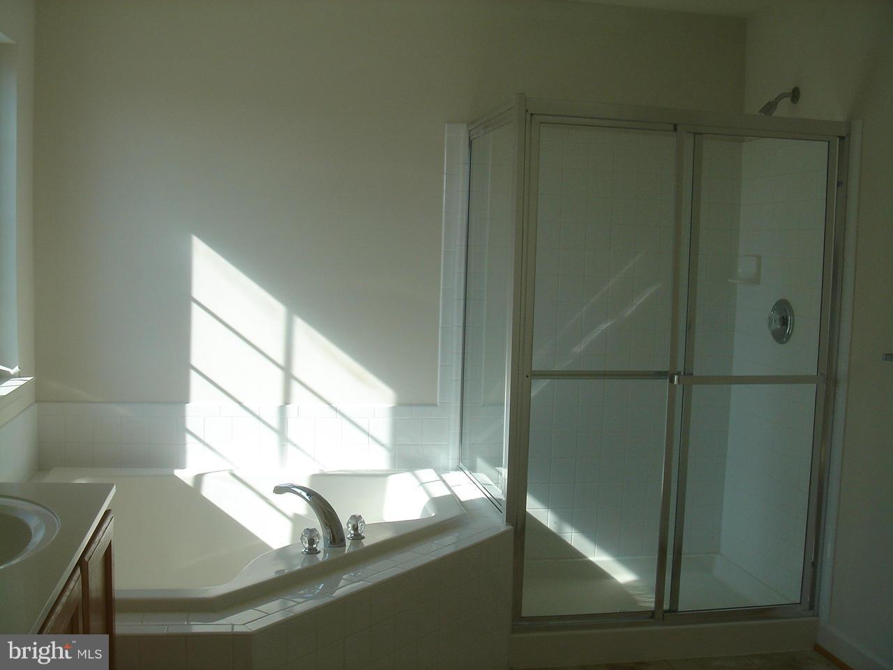 11225 Suffolk Dr Property Photo 21