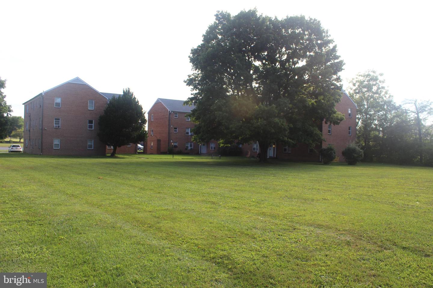 300 Northern Ave #apt 4h Property Photo 2