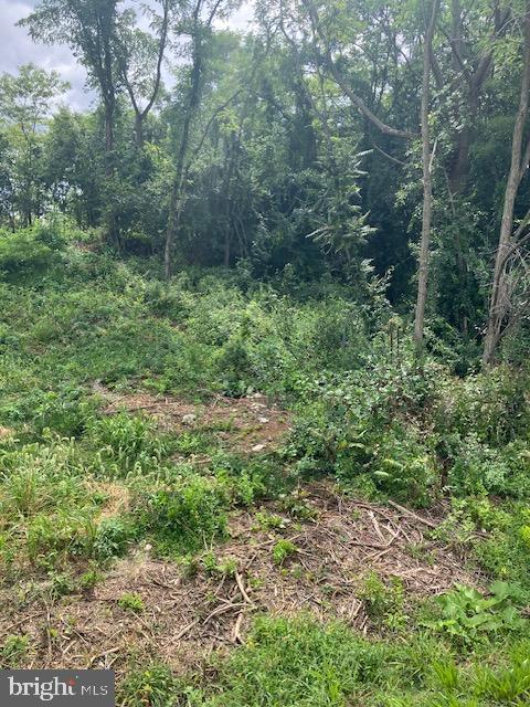 Lot 4 Partnership Ct Property Photo 5