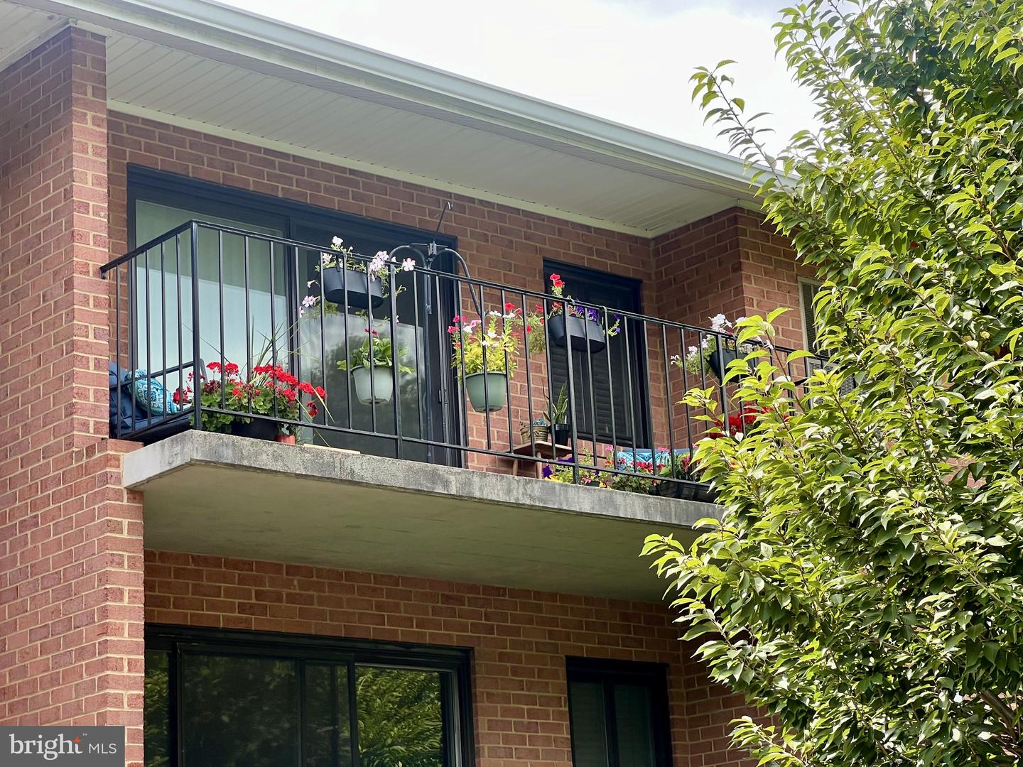 1631 Edgewood Pl #204 Property Photo 40