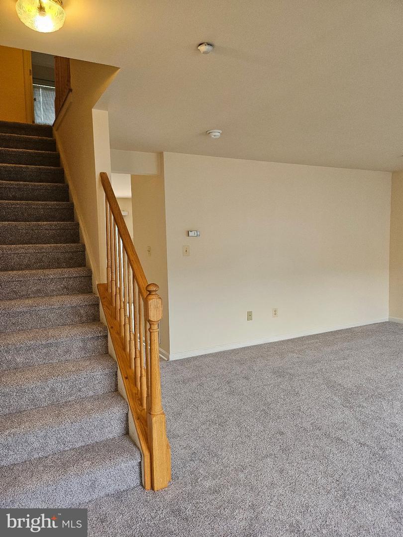 905 Mercer Dr Property Photo 9