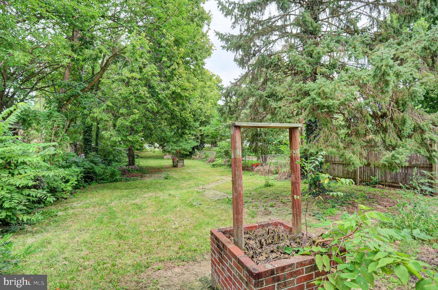 338 Liberty St Property Photo 56