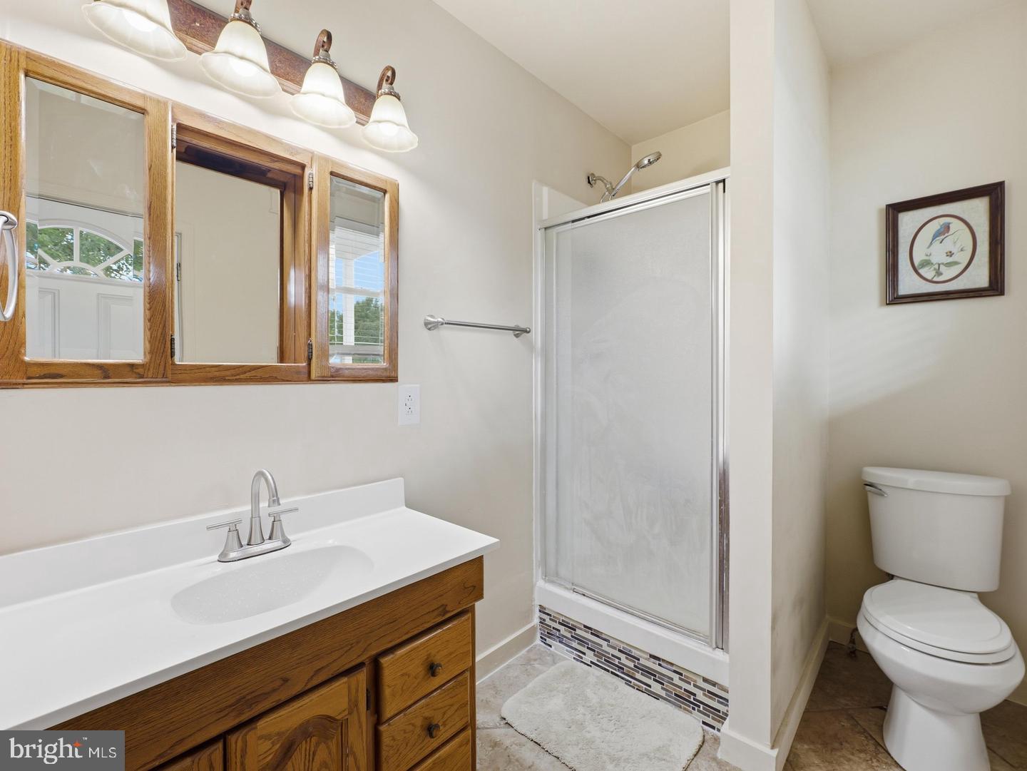 1041 Spruce St Property Photo 19