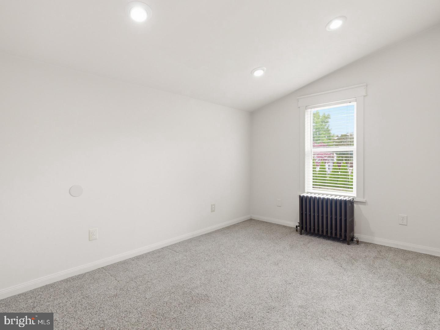 1041 Spruce St Property Photo 24