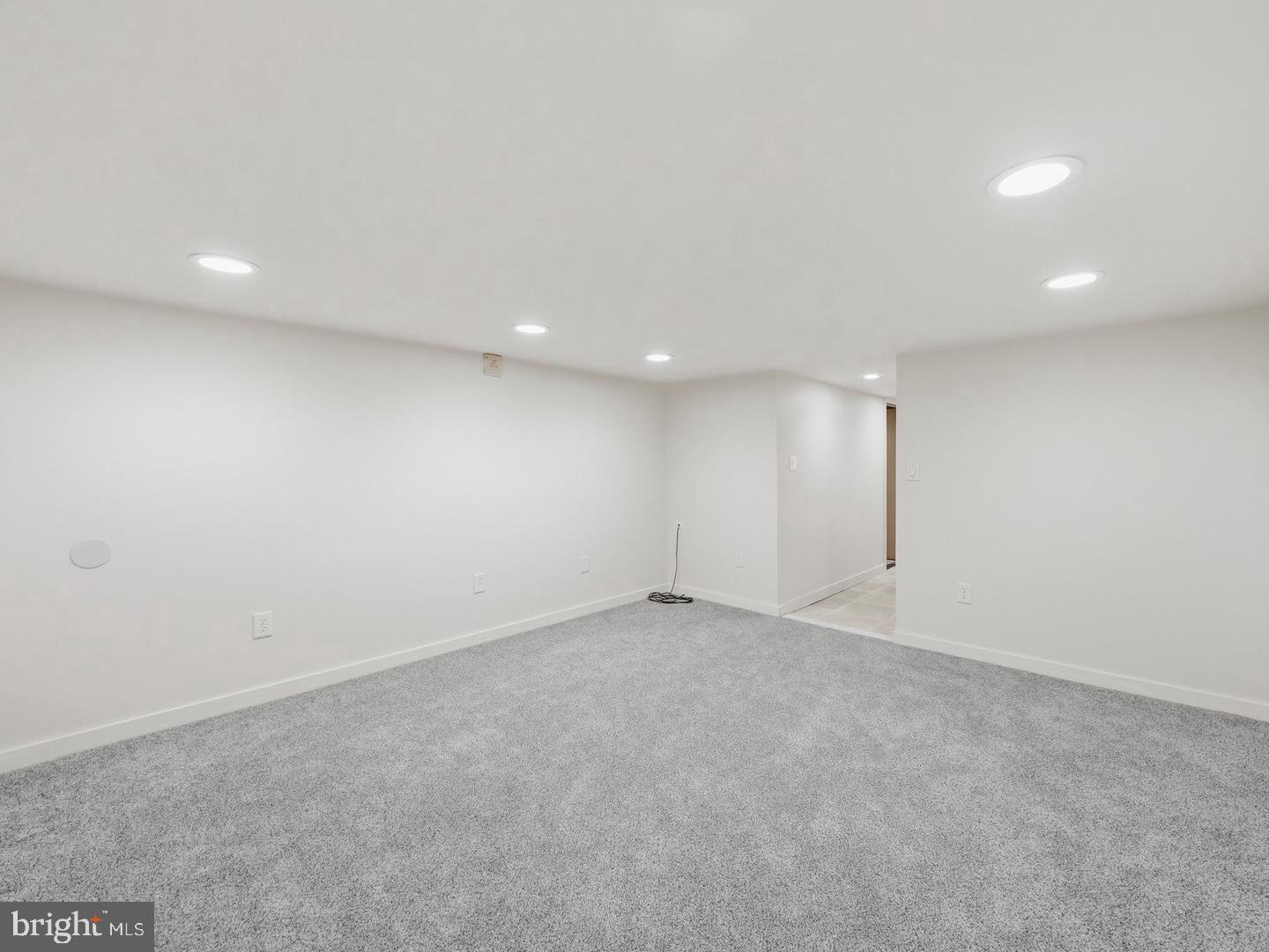 1041 Spruce St Property Photo 31