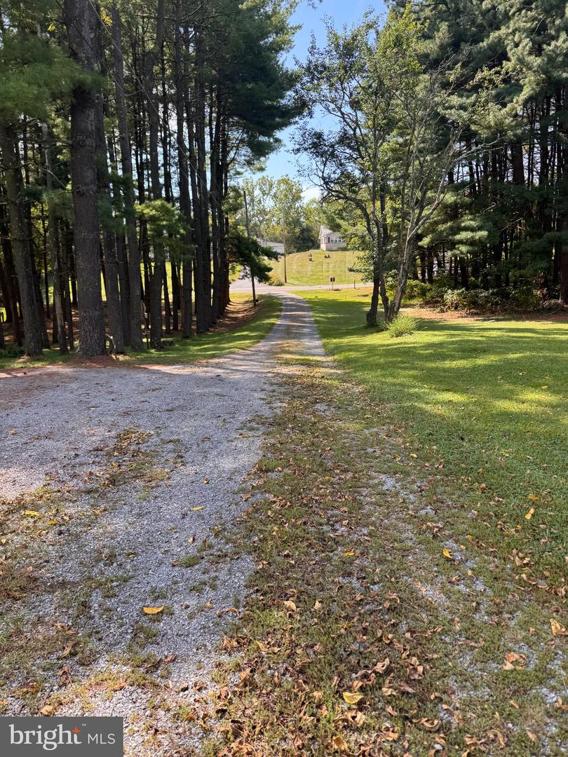 14683 Falling Waters Rd Property Photo 3