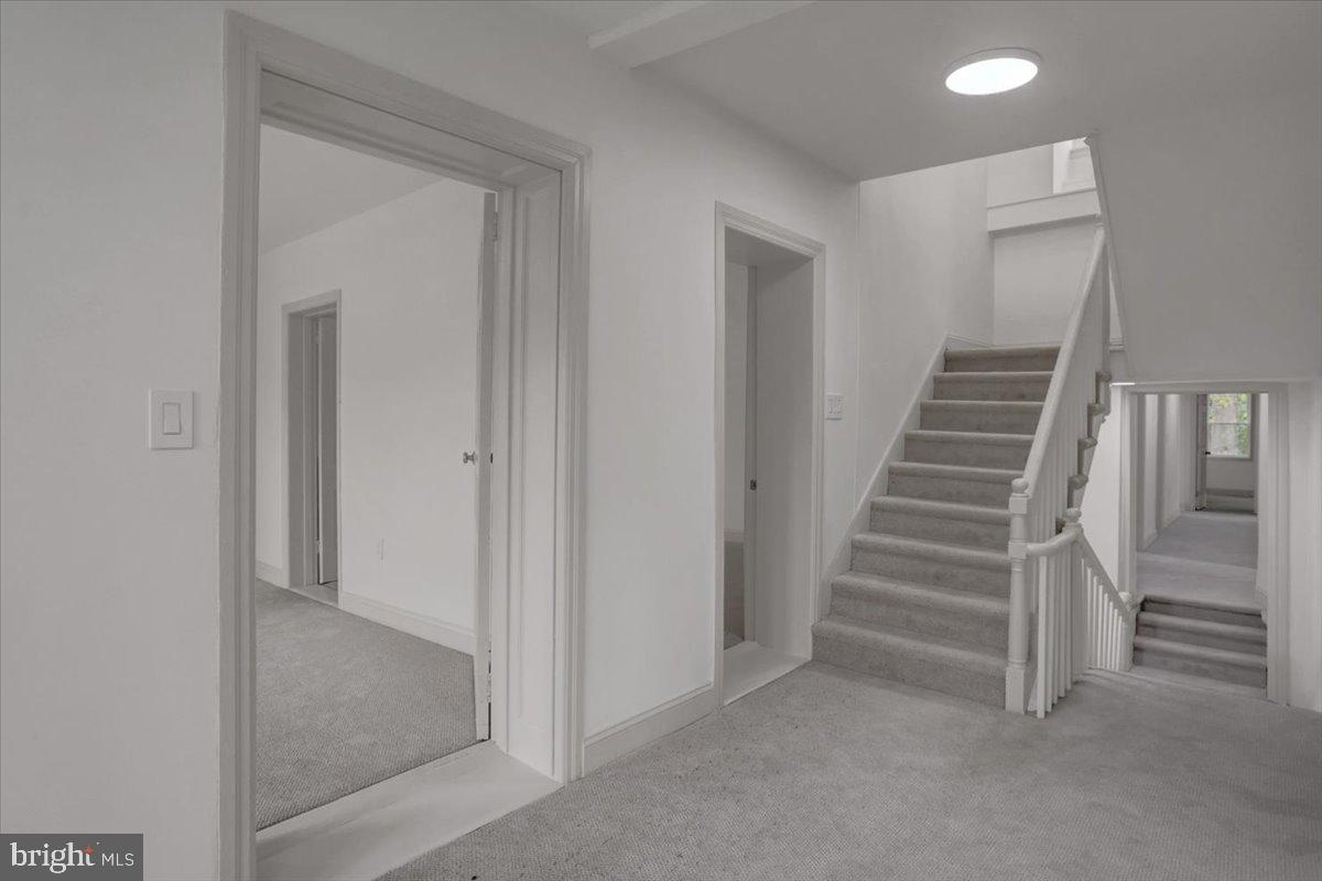 40 E Henrietta St Property Photo 33