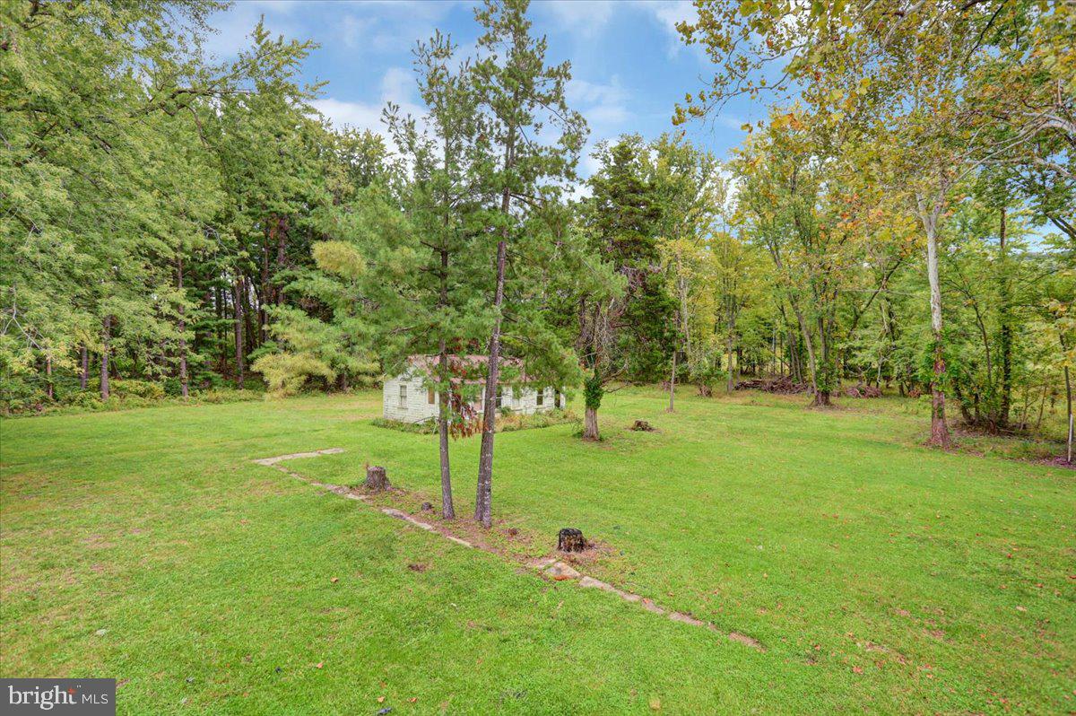 40 E Henrietta St Property Photo 67
