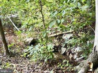 23956 Warner Hollow Rd Property Photo 9