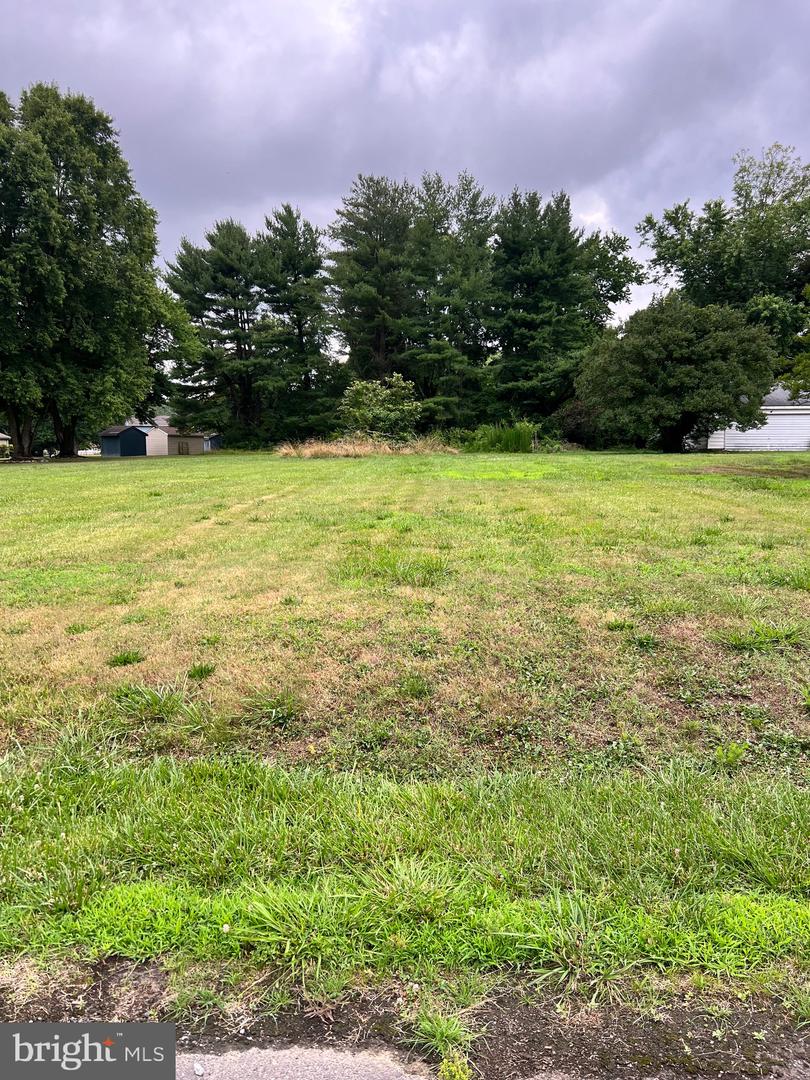 0 Delano Ave Property Photo 2