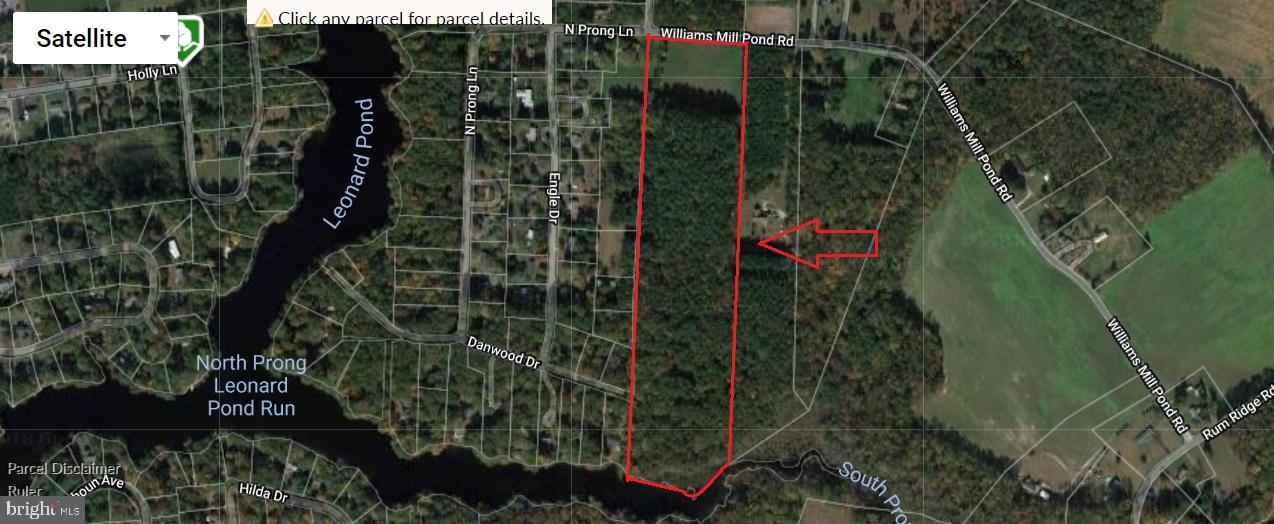 0 Williams Mill Pond Rd Property Photo 1