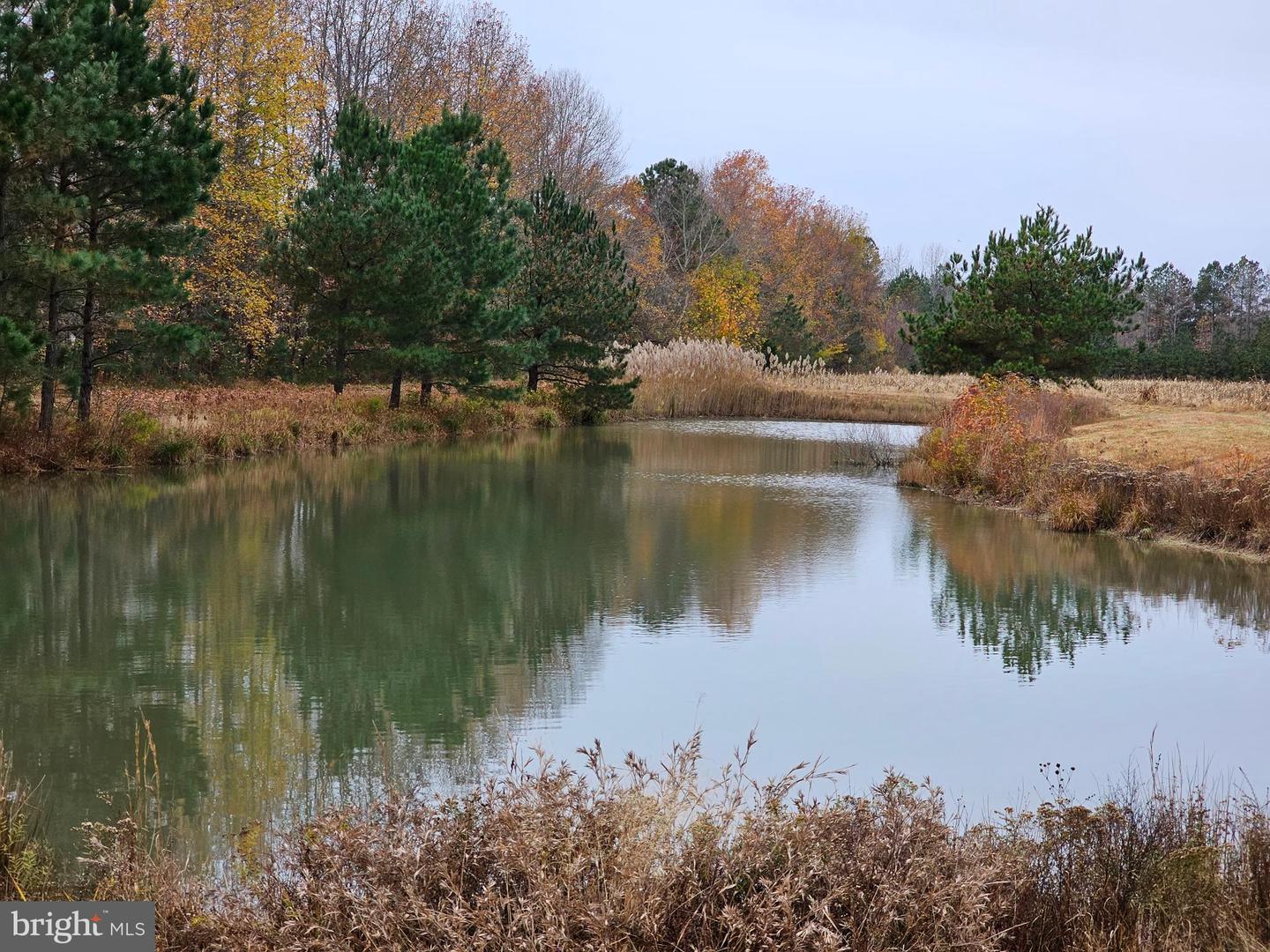 Lot 8a Song Sparrow Cir Property Photo 6