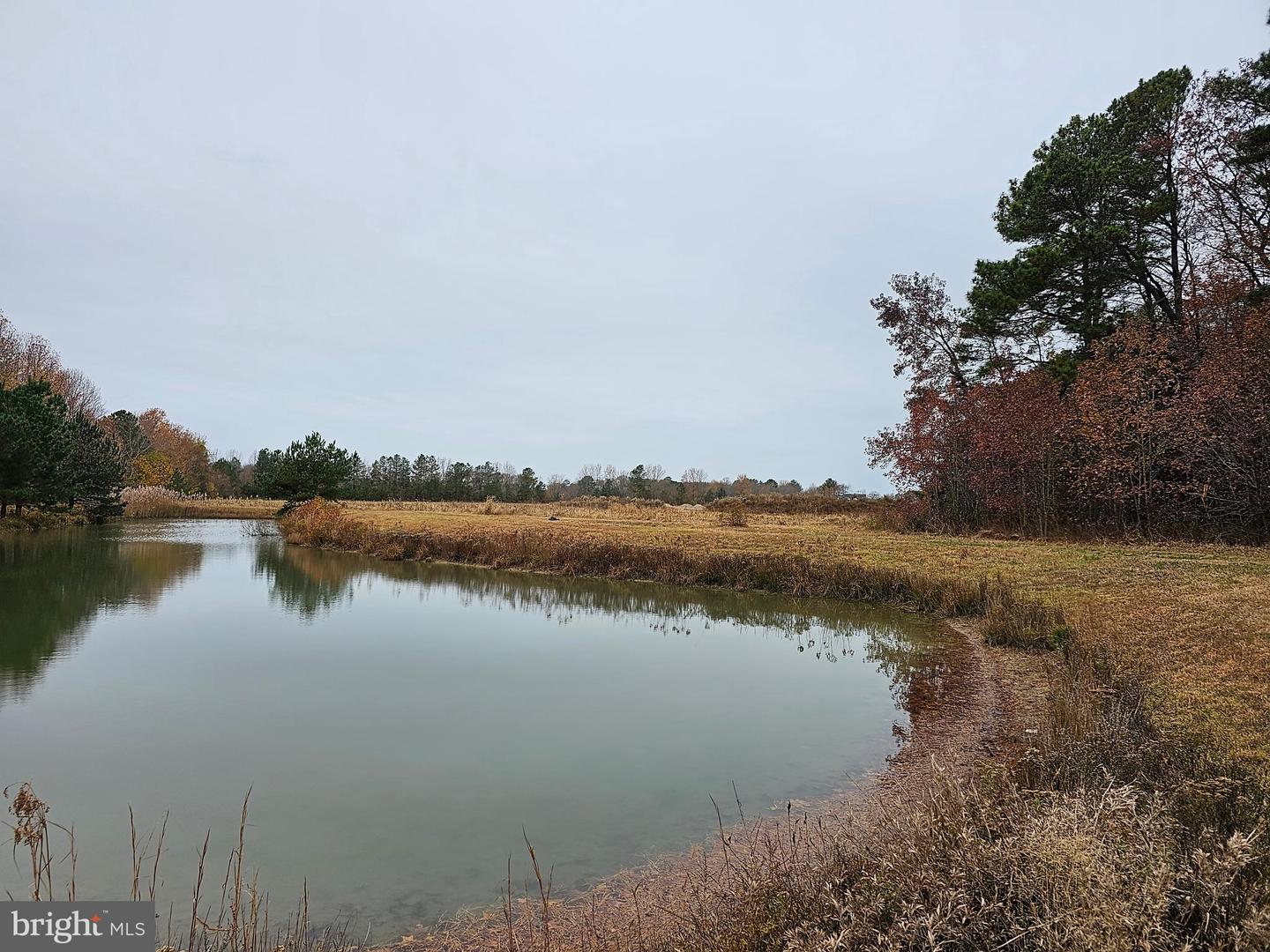 Lot 8a Song Sparrow Cir Property Photo 7