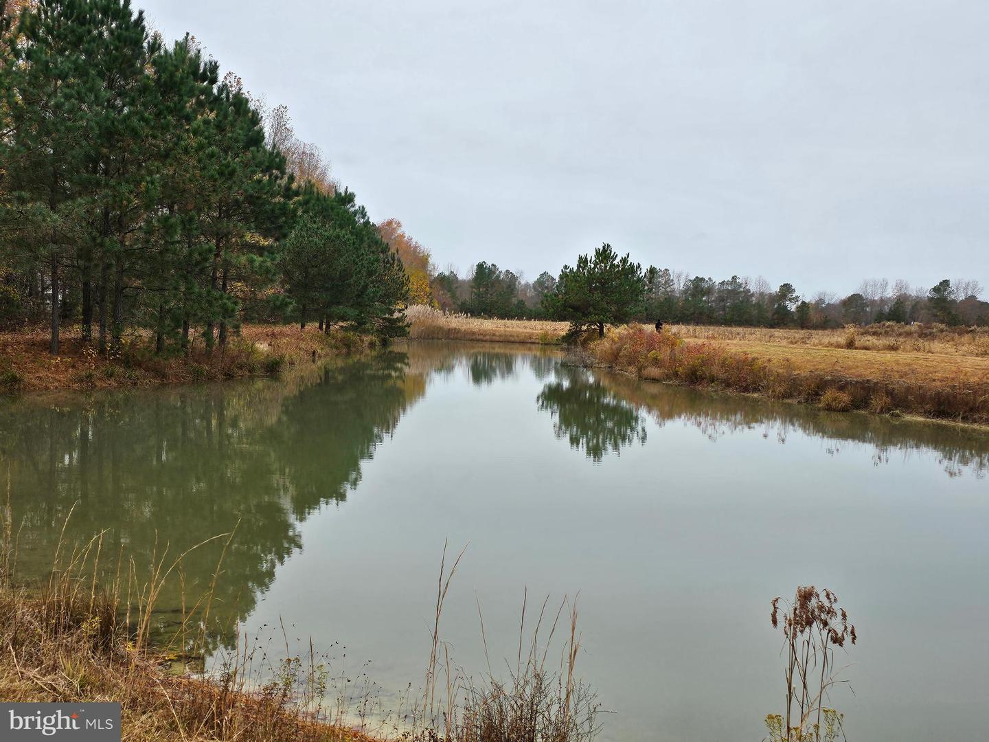 Lot 8a Song Sparrow Cir Property Photo 8