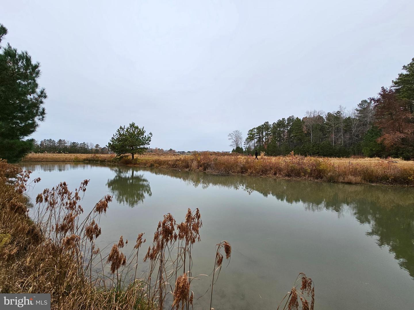 Lot 8a Song Sparrow Cir Property Photo 9