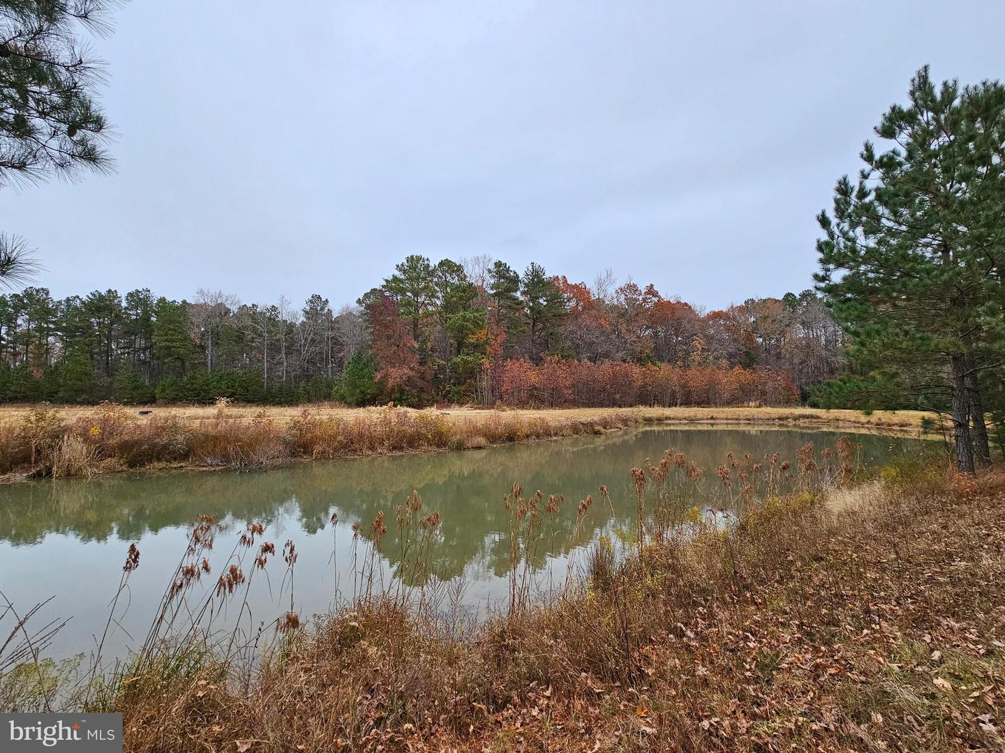 Lot 8a Song Sparrow Cir Property Photo 10