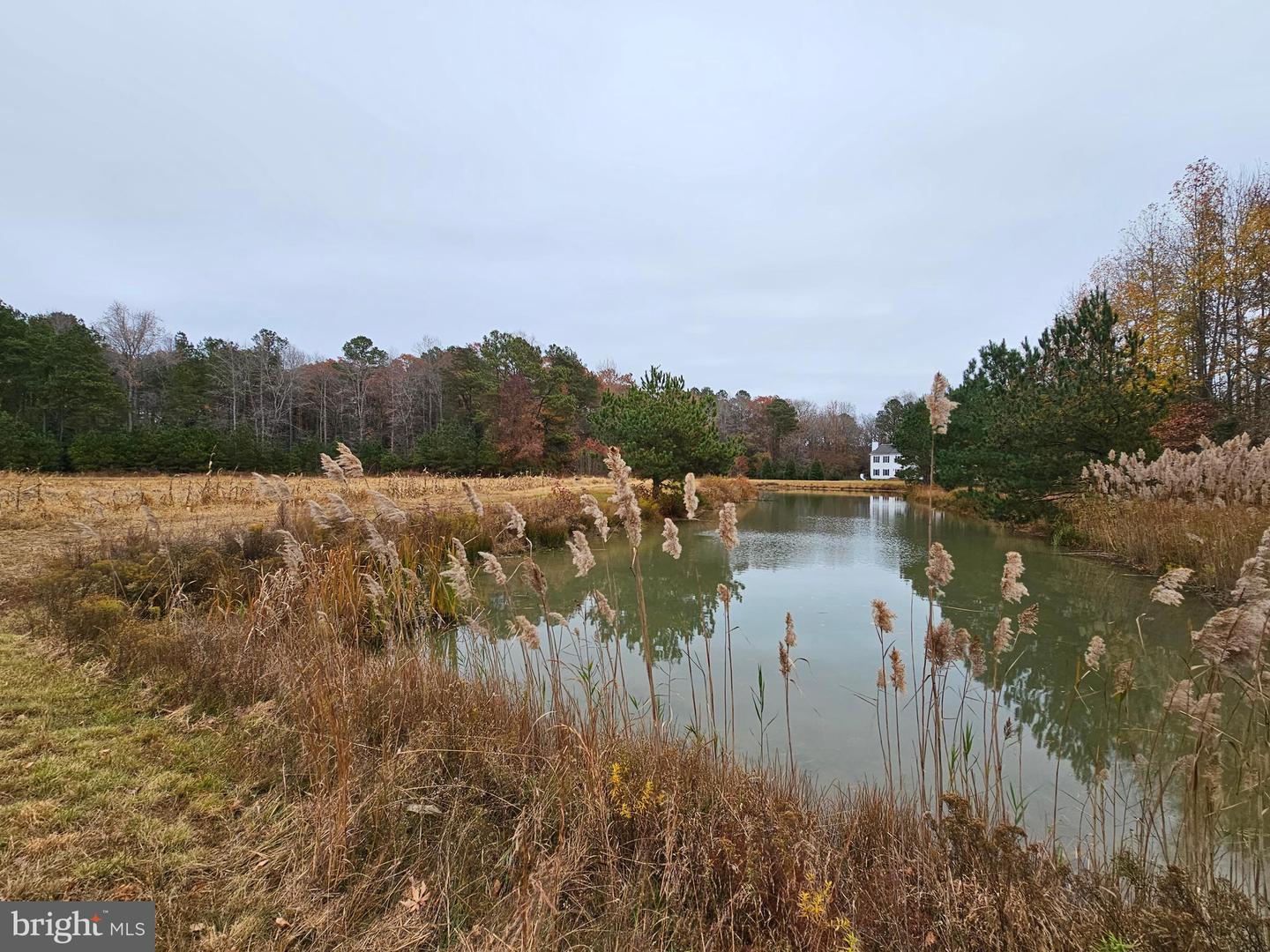 Lot 8a Song Sparrow Cir Property Photo 11