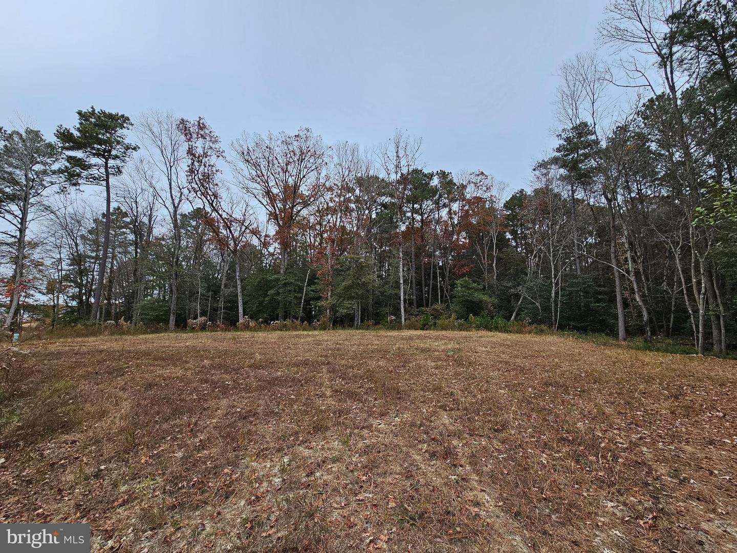 Lot 8a Song Sparrow Cir Property Photo 28