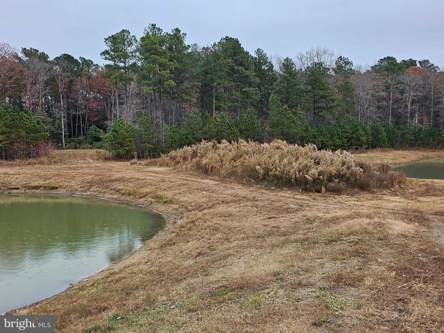 Lot 8a Song Sparrow Cir Property Photo 31