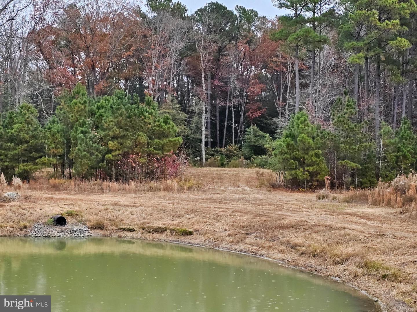 Lot 8a Song Sparrow Cir Property Photo 32
