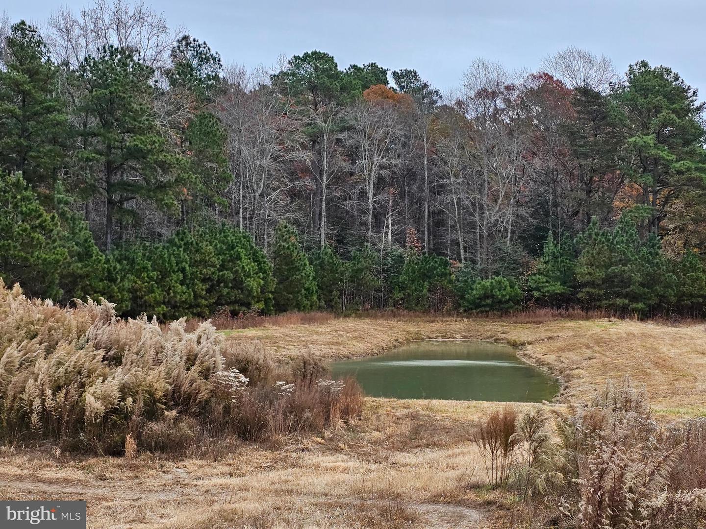 Lot 8a Song Sparrow Cir Property Photo 33