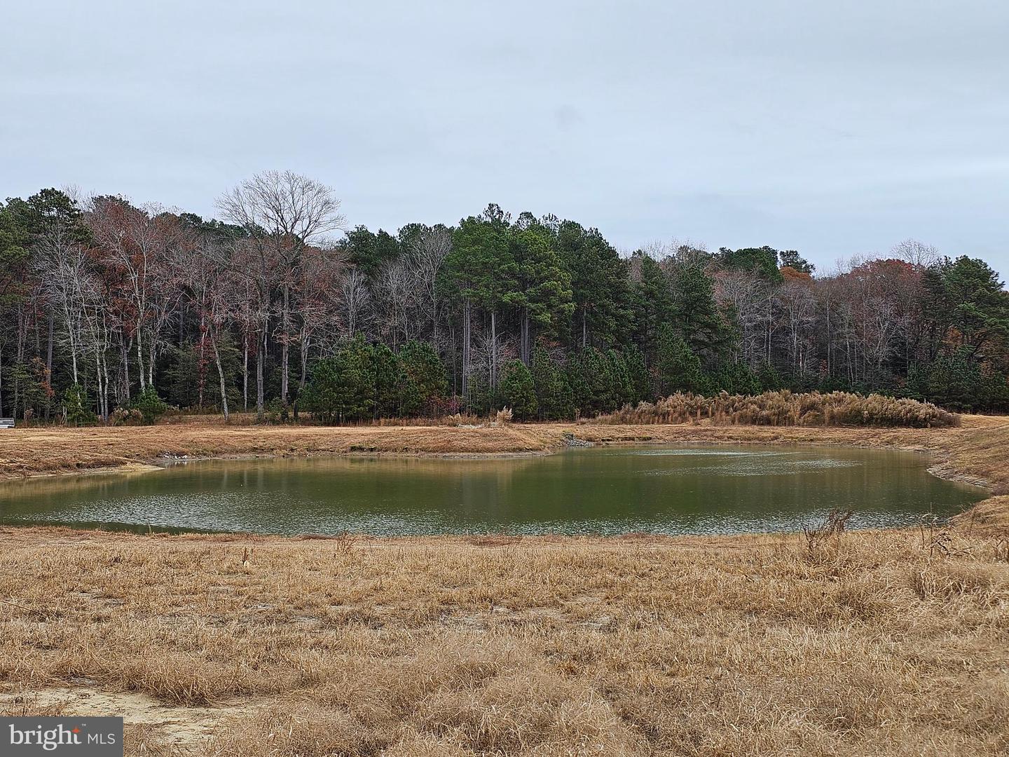 Lot 8a Song Sparrow Cir Property Photo 34