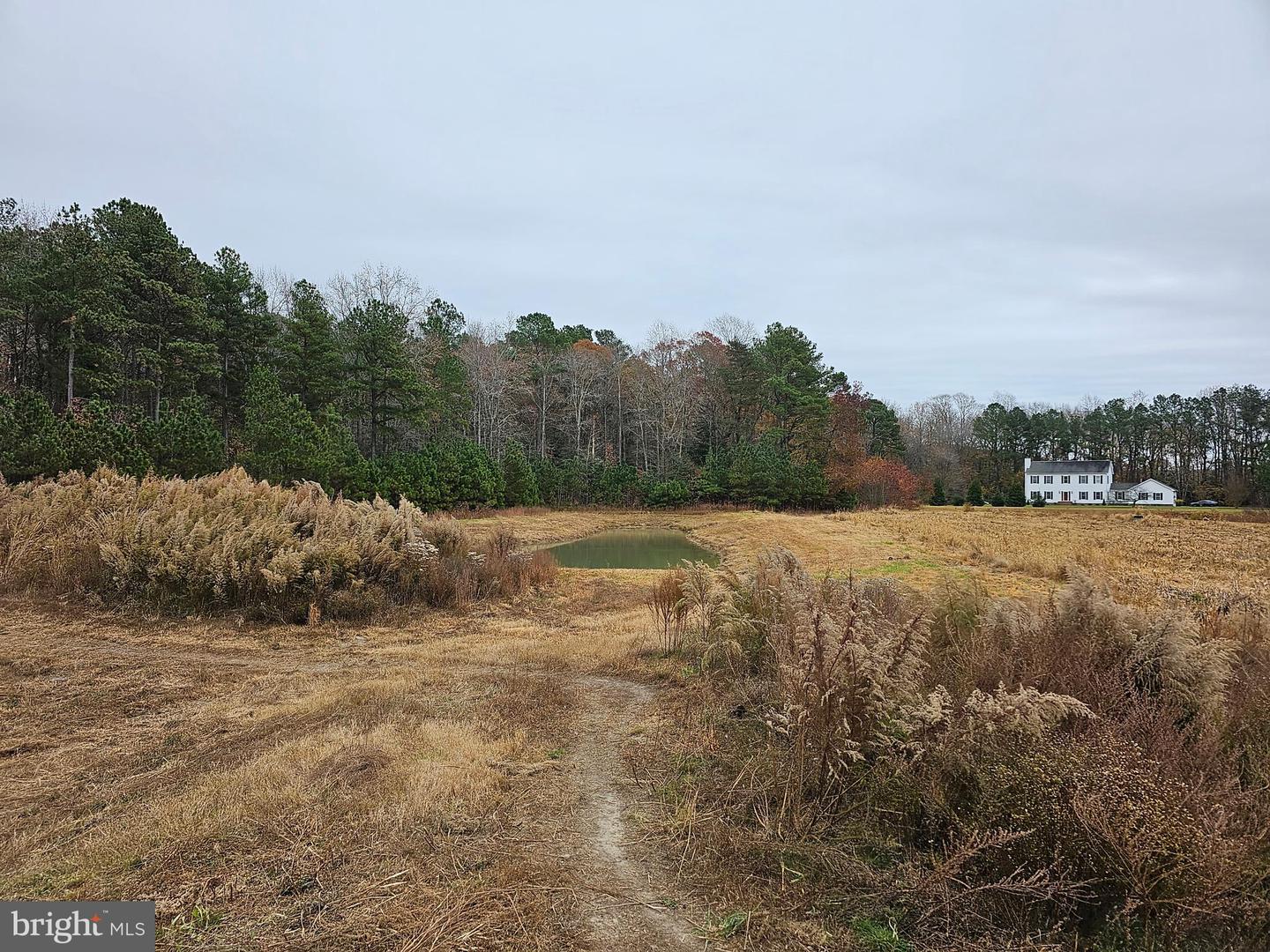 Lot 8a Song Sparrow Cir Property Photo 38