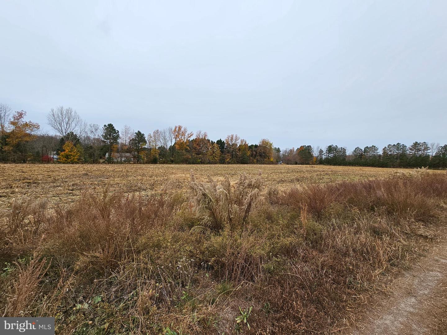Lot 8a Song Sparrow Cir Property Photo 40