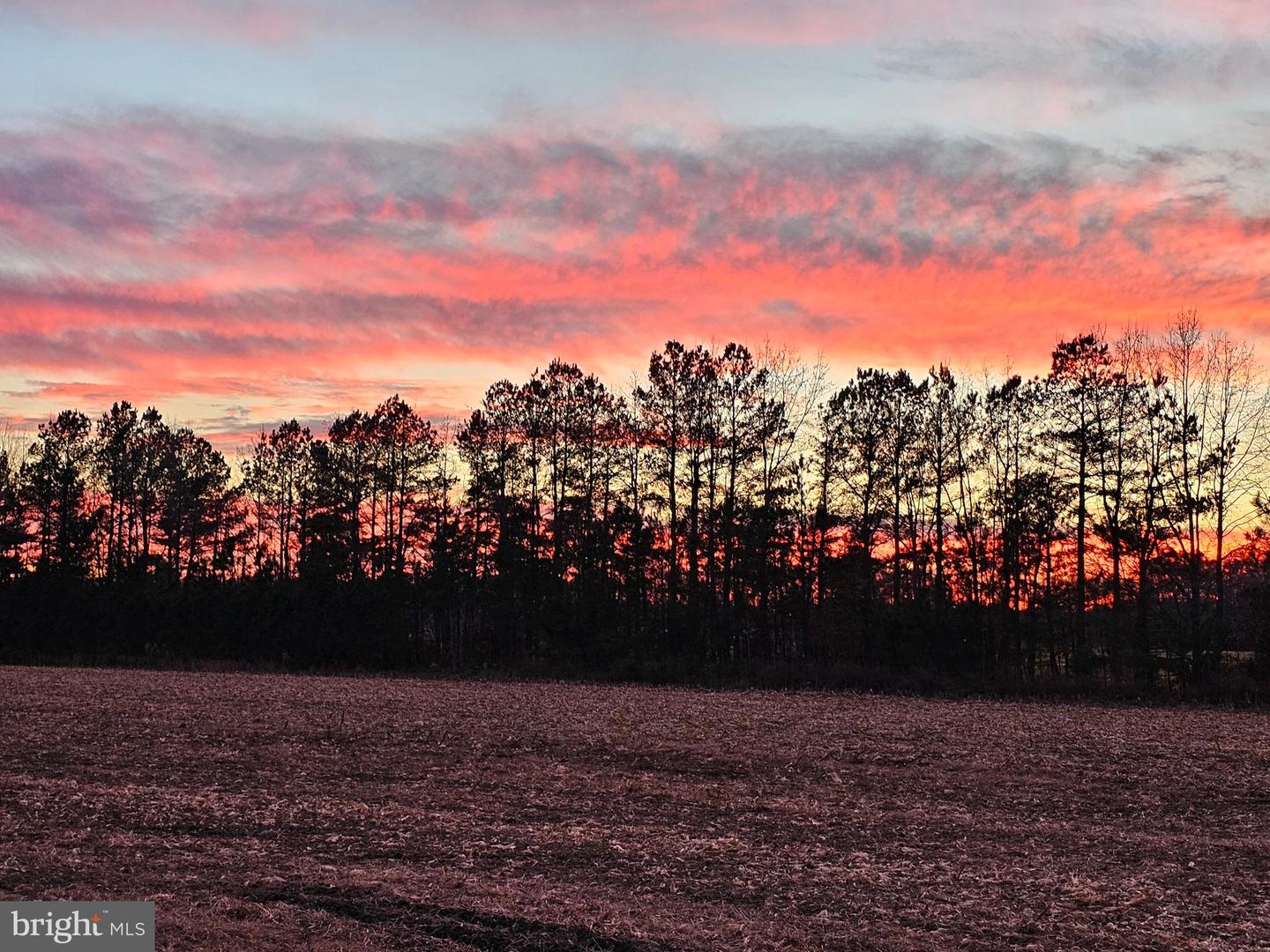 Lot 8a Song Sparrow Cir Property Photo 51